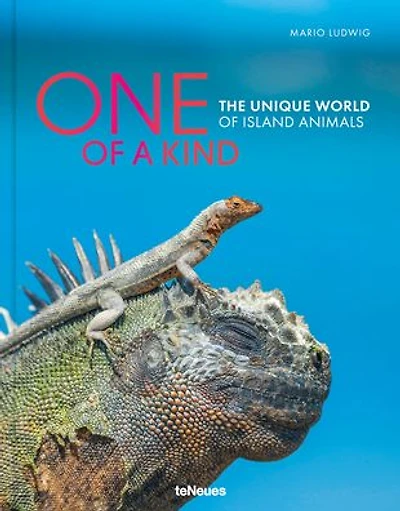 One of a Kind: The Unique World of Island Animals