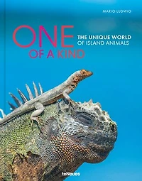 One of a Kind: The Unique World of Island Animals