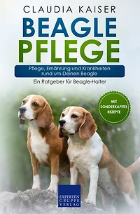 Beagle Pflege: Pflege, Ernährung und Krankheiten rund um Deinen Beagle