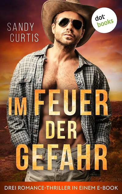 Im Feuer der Gefahr: Drei Romance-Thriller in einem eBook: »Das Tal der Angst«, »Der Fluss der Vergessenen« und »Im Meer der Furcht«