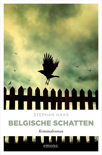 Belgische Schatten: Kriminalroman