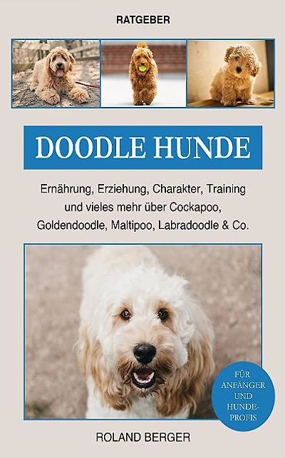 Doodle Hunde: Cockapoo, Goldendoodle, Maltipoo, Labradoodle & Co.