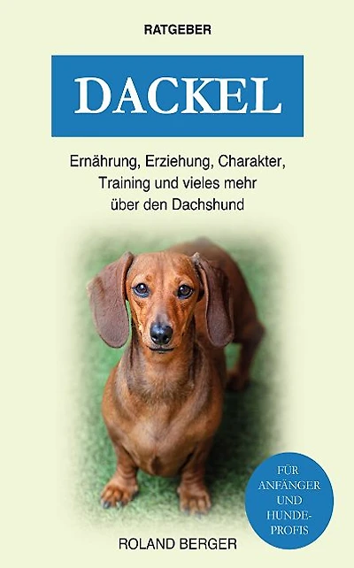Dackel: Ernährung, Erziehung, Charakter, Training und vieles mehr über den Dachshund