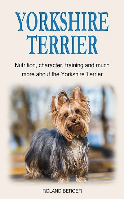 Yorkshire Terrier: Nutrition, character, training and much more about the Yorkshire Terrier