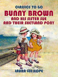 Bunny Brown and His Sister Sue Their Shetland Pony