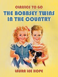 The Bobbsey Twins Country