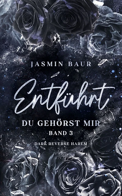 Entführt: Du gehörst mir - Band 3 (Dark Reverse Harem): Du gehörst mir - Band 3 (Dark Reverse Harem)