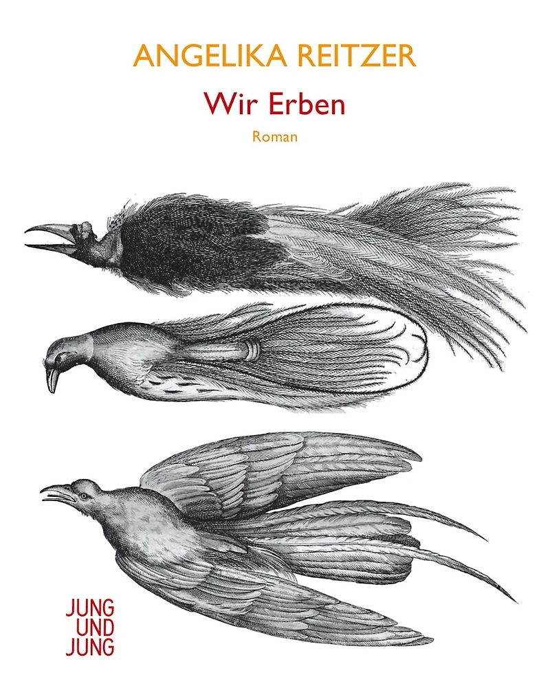Wir Erben: Roman