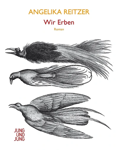 Wir Erben: Roman