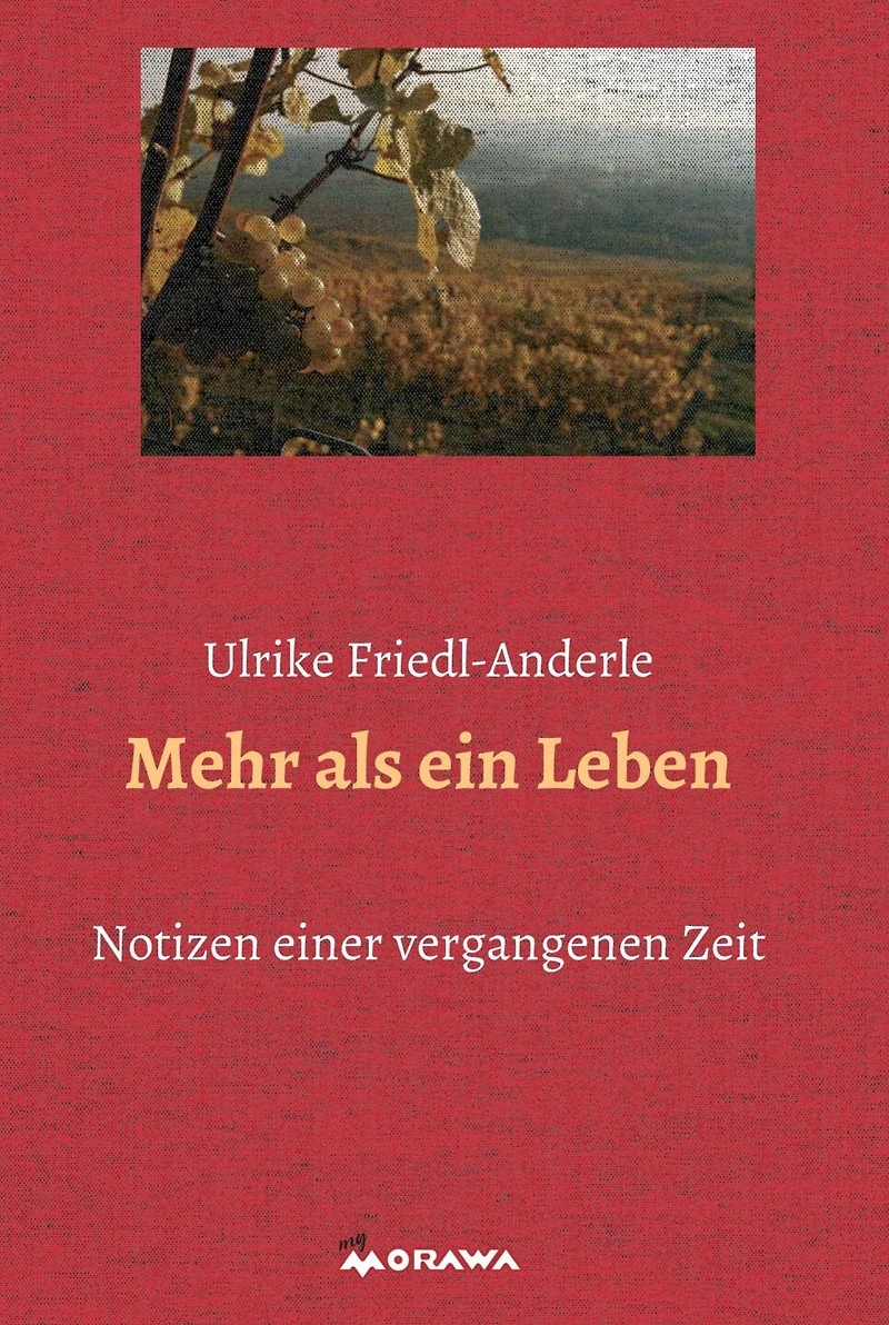Mehr als ein Leben: Notizen aus einer vergangenen Zeit