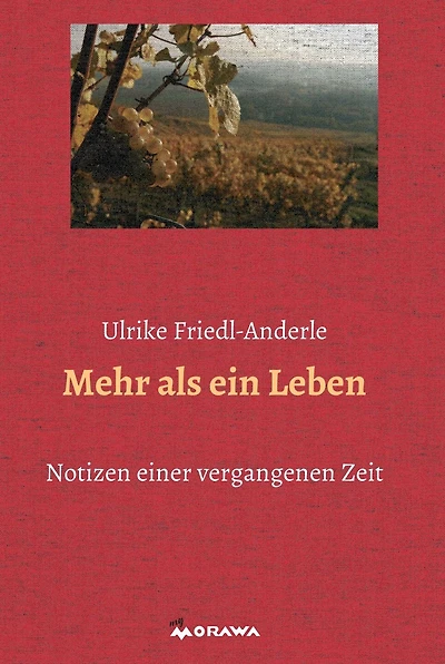 Mehr als ein Leben: Notizen aus einer vergangenen Zeit