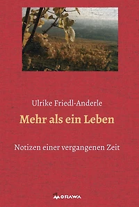 Mehr als ein Leben: Notizen aus einer vergangenen Zeit