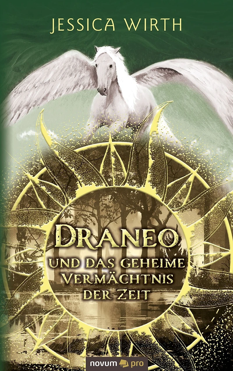 Draneo und das geheime Vermächtnis der Zeit