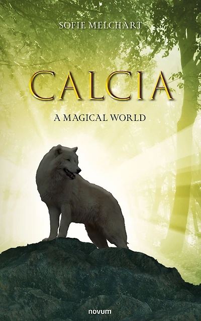 Calcia: A Magical World