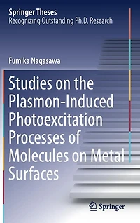 Studies on the Plasmon-Induced Photoexcitation Processes of Molecules on Metal Surfaces