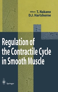 Regulation of the Contractile Cycle Smooth Muscle