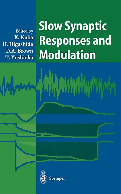 Slow Synaptic Responses and Modulation