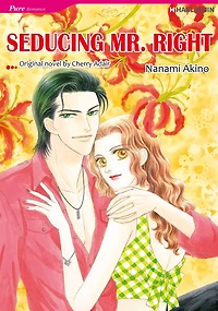 SEDUCING MR. RIGHT: Harlequin comics