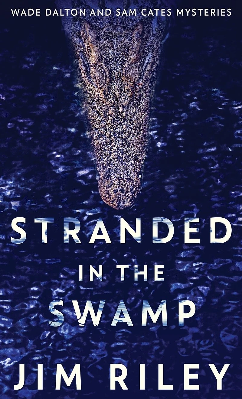 Stranded the Swamp