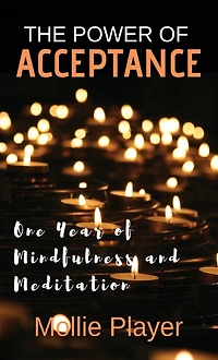 The Power Of Acceptance: One Year Mindfulness And Meditation