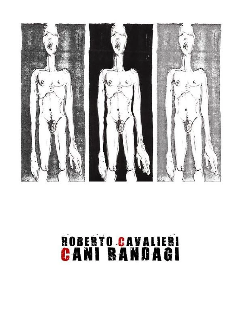 Cani randagi