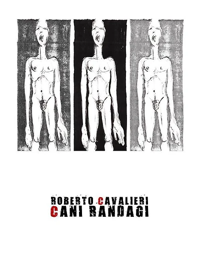 Cani randagi