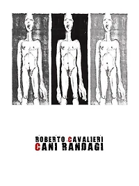 Cani randagi