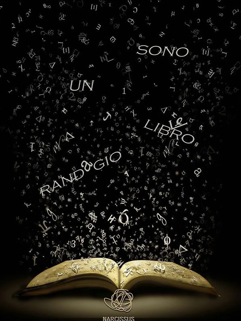 Sono un libro randagio