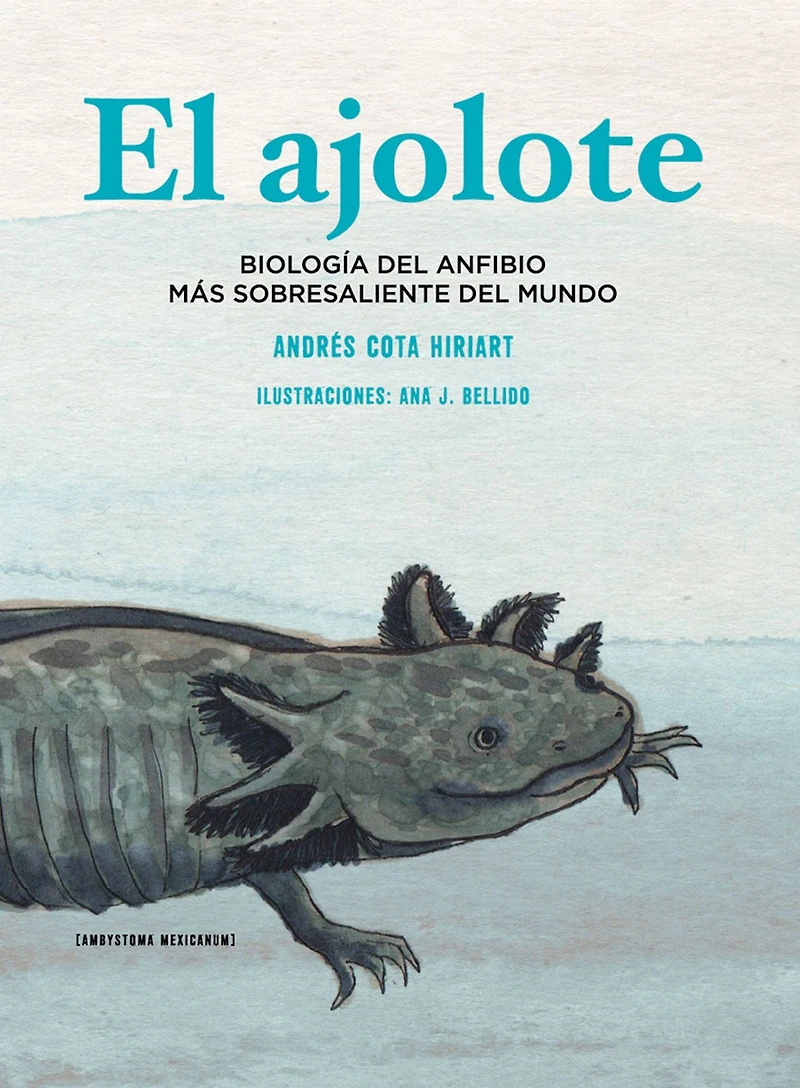 El ajolote: Biología del anfibio más sobresaliente mundo (Abridged)