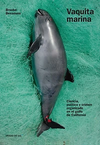 Vaquita marina: Ciencia, política y crimen organizado en el golfo de California