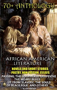 70+ Anthology. African American literature. Novels and short stories. Poetry. Non-fiction. Essays: Passing, The Goophered Grapevine , Weary Blues, Up from Slavery, Souls of Black Folk others