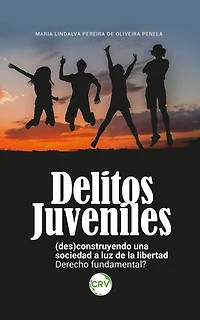 Delitos Juveniles: (Des)construyendo una sociedad a luz de la libertad: Derecho fundamental?