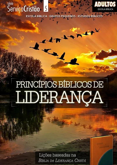 Princípios Bíblicos de Liderança Professor