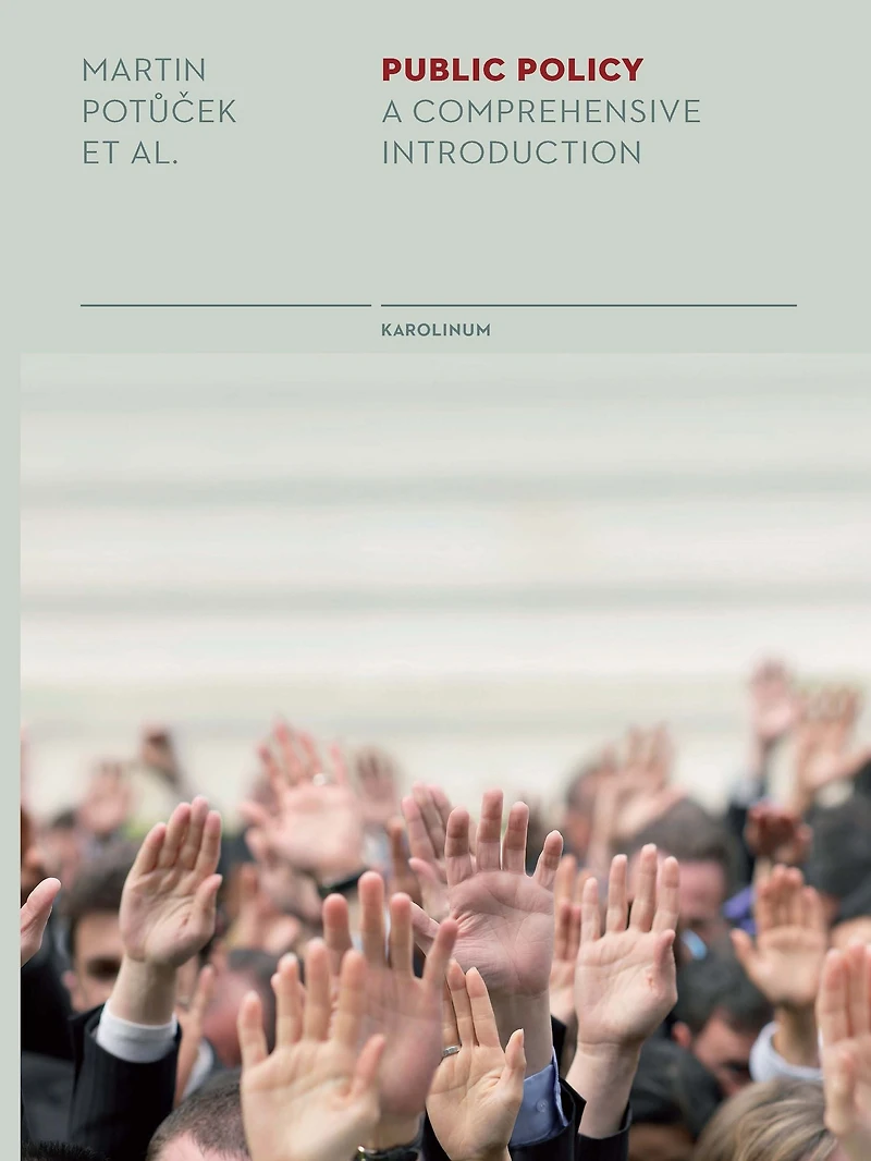 Public Policy: A Comprehensive Introduction