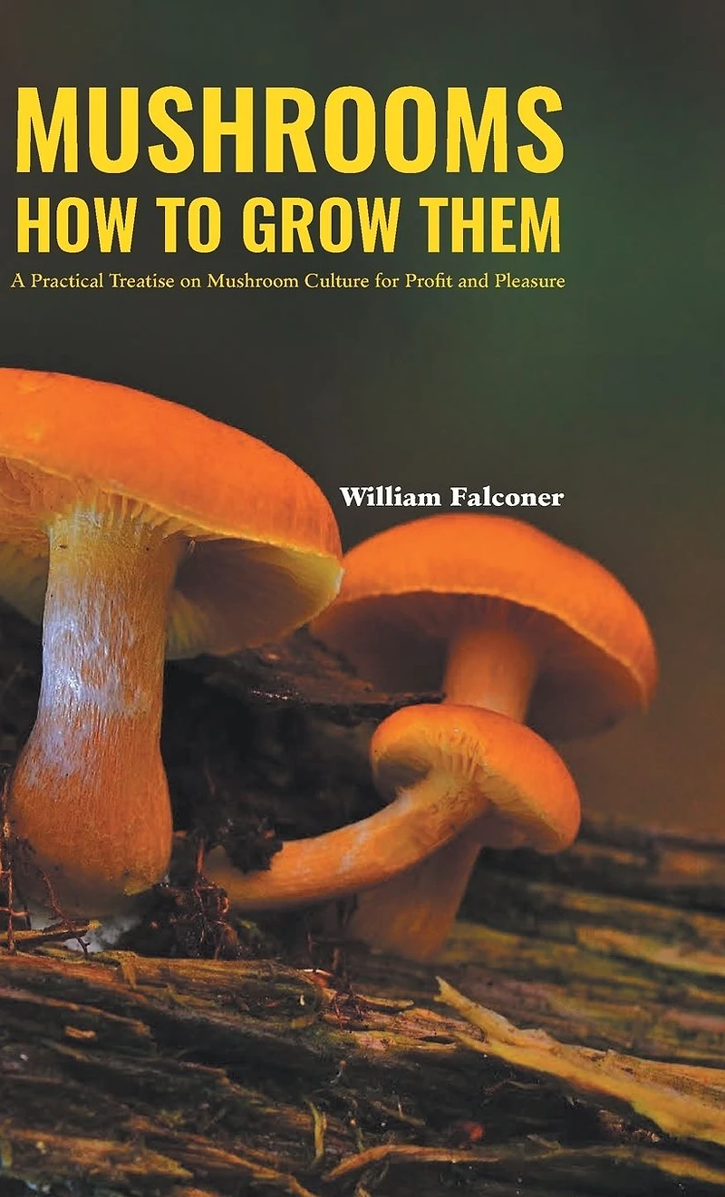 Mushrooms: how to grow them