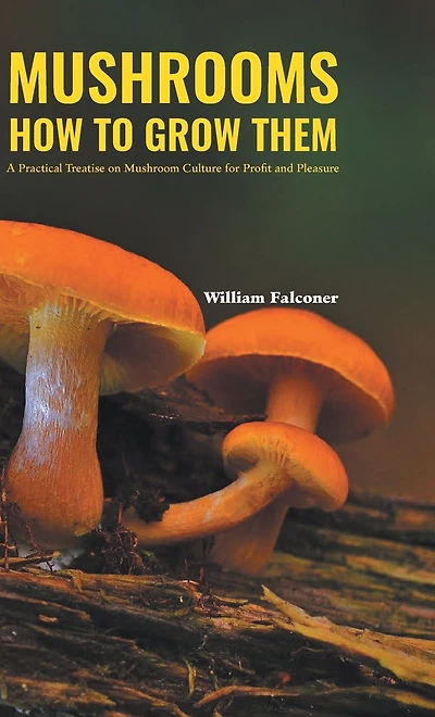 Mushrooms: how to grow them