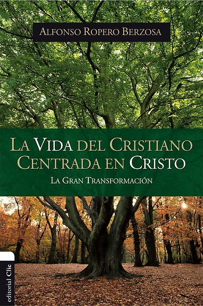 La vida del cristiano centrada en Cristo: gran transformación