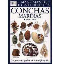 Conchas Marinas