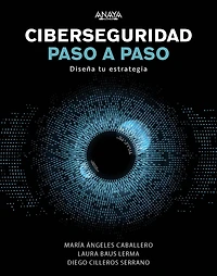 Ciberseguridad paso a paso: Diseña tu estrategia