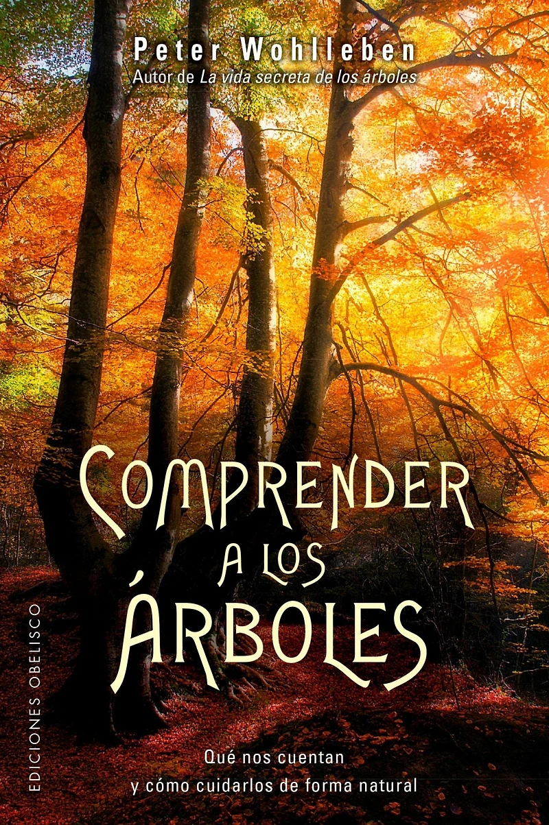 Comprender a los árboles