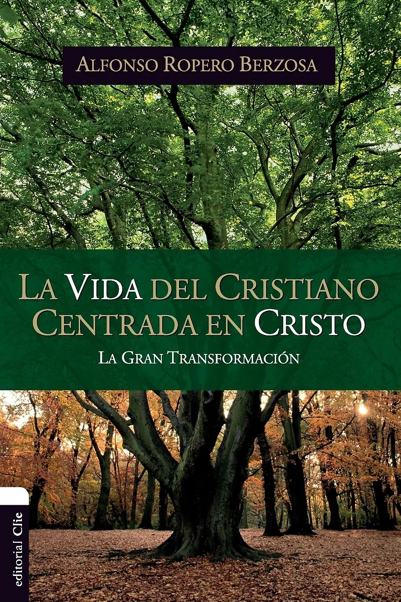 La vida del cristiano centrada en Cristo: gran transformación