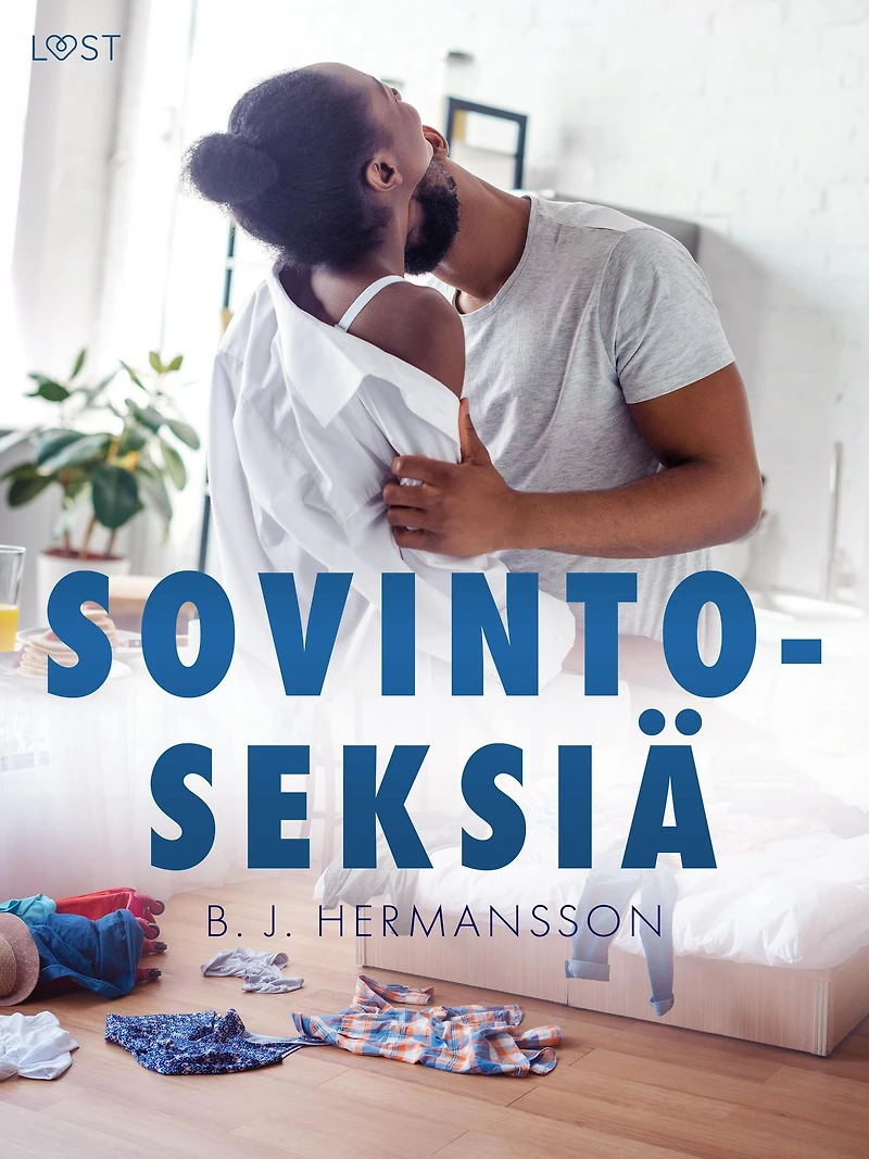 Sovintoseksiä - eroottinen novelli