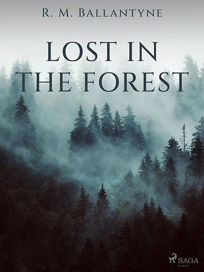 Lost The Forest