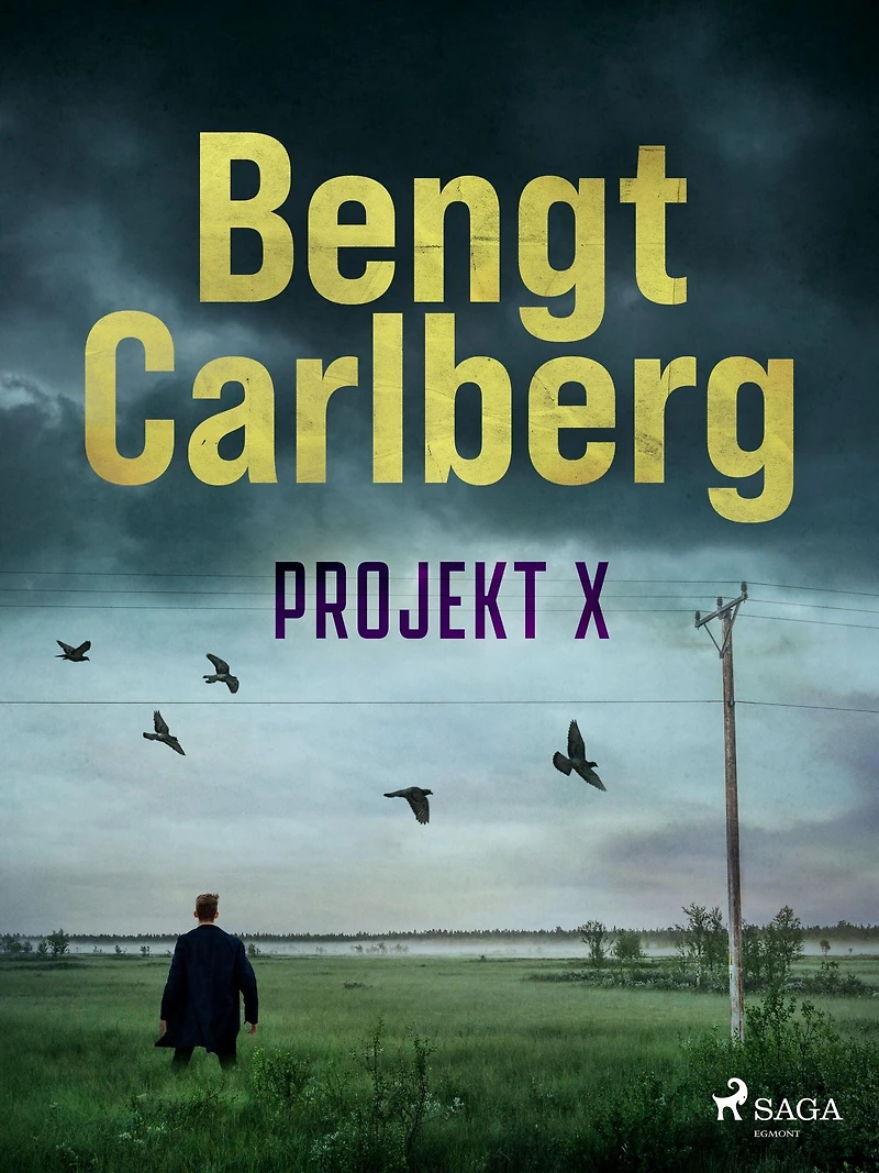 Projekt X