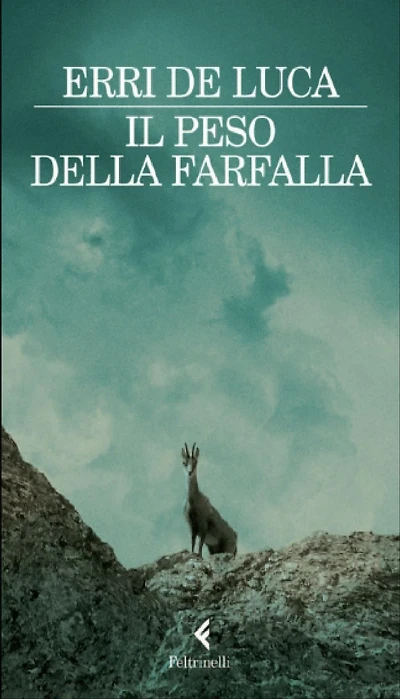 Il peso della farfalla