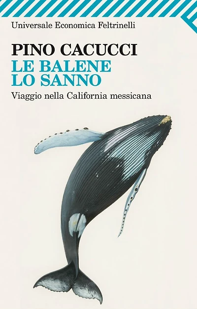 Le balene lo sanno: Viaggio nella California messicana. Con le fotografie di Alberto Poli