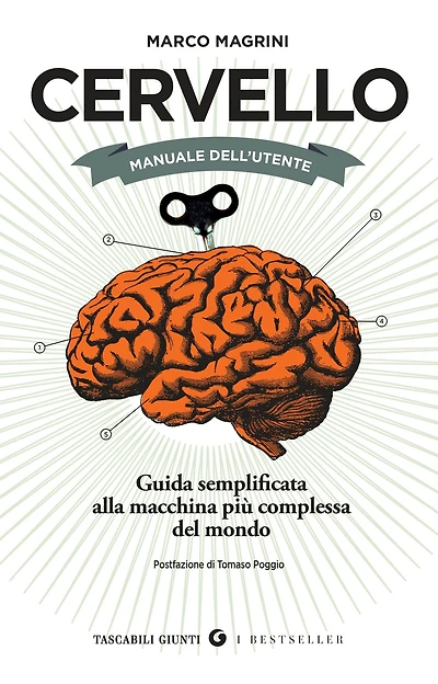 Cervello. Manuale dell'utente: Guida semplificata alla macchina più complessa del mondo