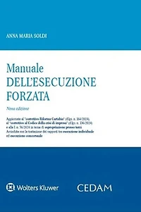 Manuale dell'esecuzione forzata