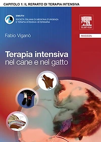 Il reparto di terapia intensiva