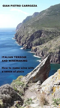 Italian Terroir and Winemaking: How to make wine with a sense of place